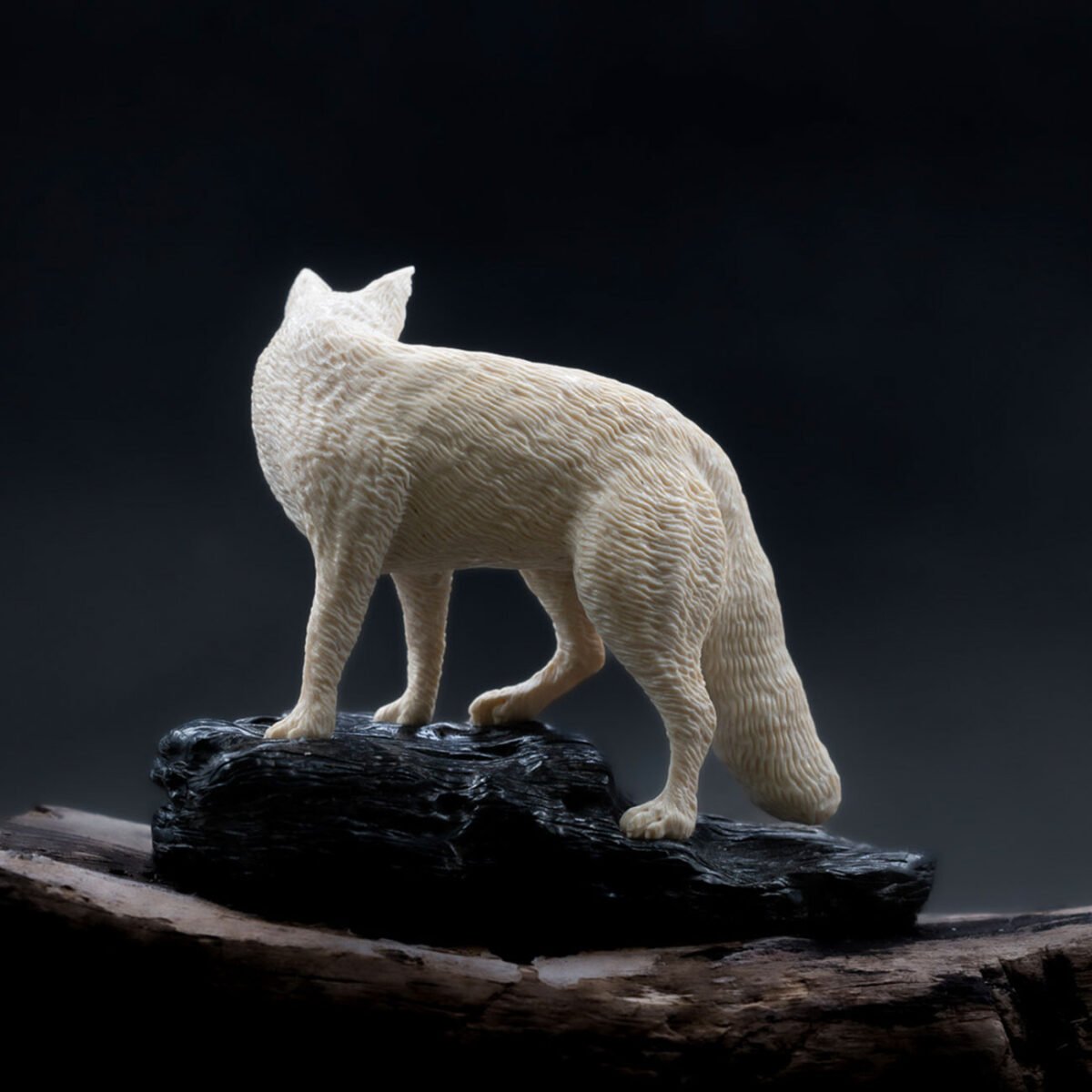 Resilience - Image 3