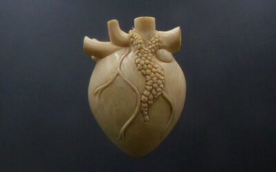 Heart Song