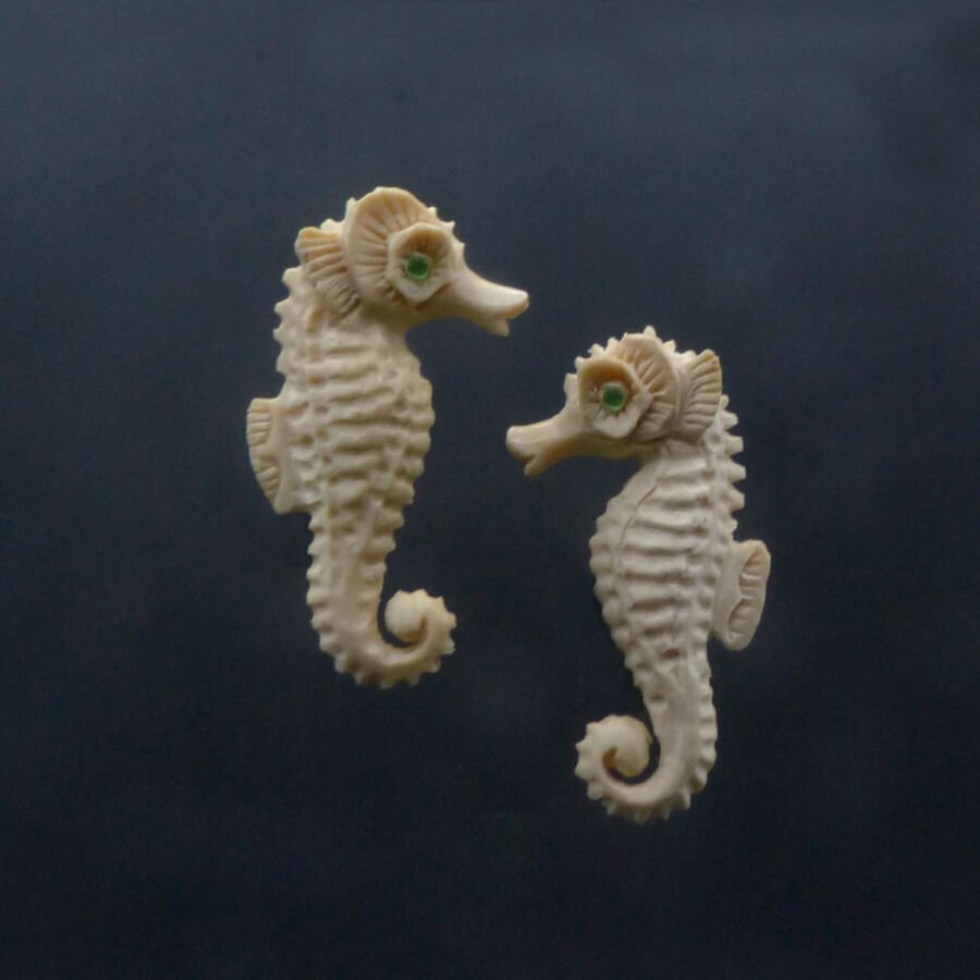 Seahorse Delight